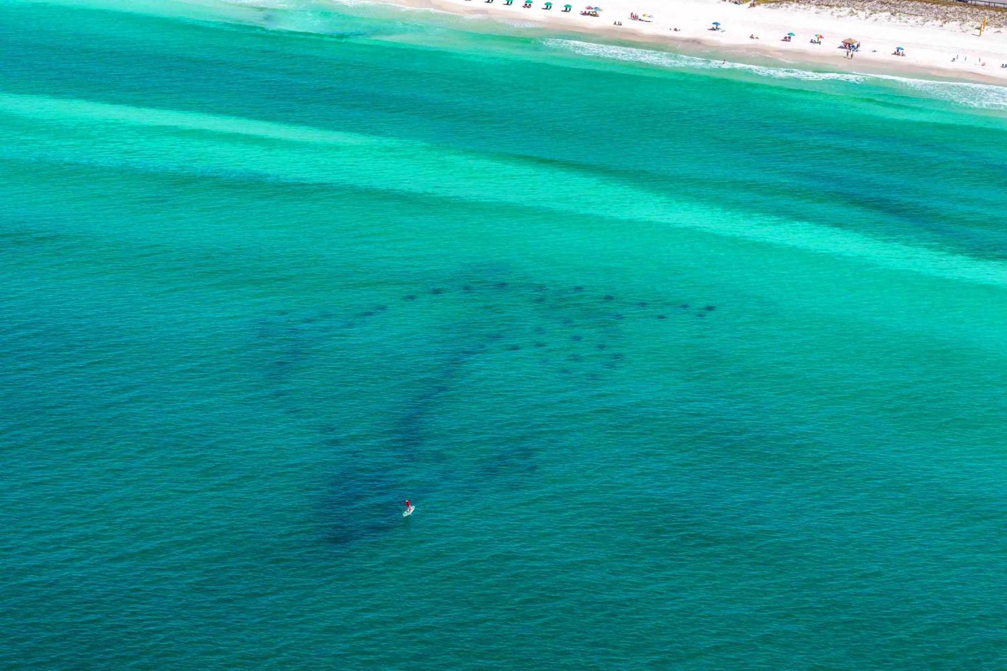 Stay Anchored Destin Ngoại thất bức ảnh